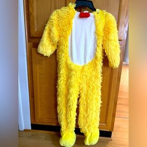 4/5 Chicken Costume
